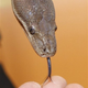 Image for article titled Snakes, Drowning, And Six Flags: The Things Women Fear More Than Breakups